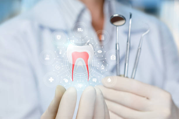 Trusted Wytheville, VA Holistic Dental Care Services Experts